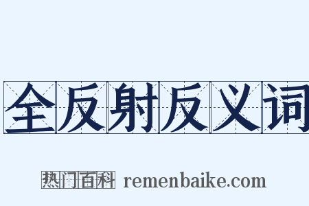 全反射反义词是什么意思的图片